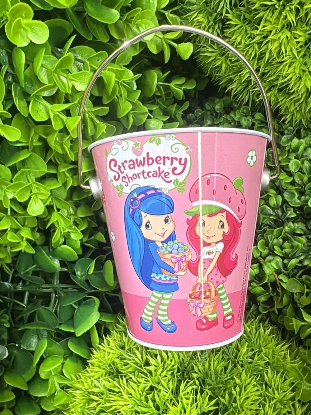 Strawberry Shortcake Pink Party Favor Bucket